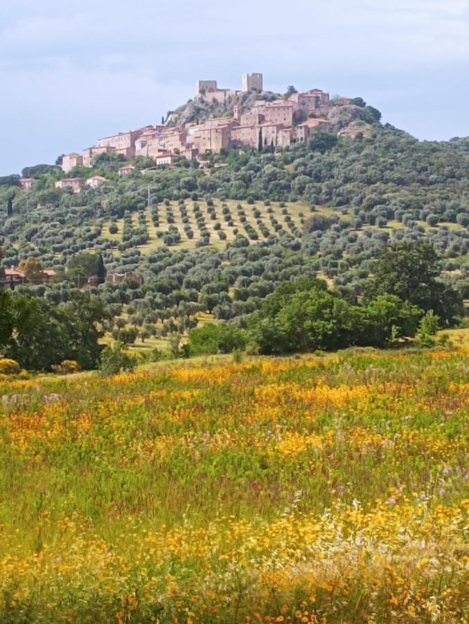 Casa Marju Konuk evi Montemassi Dış mekan fotoğraf