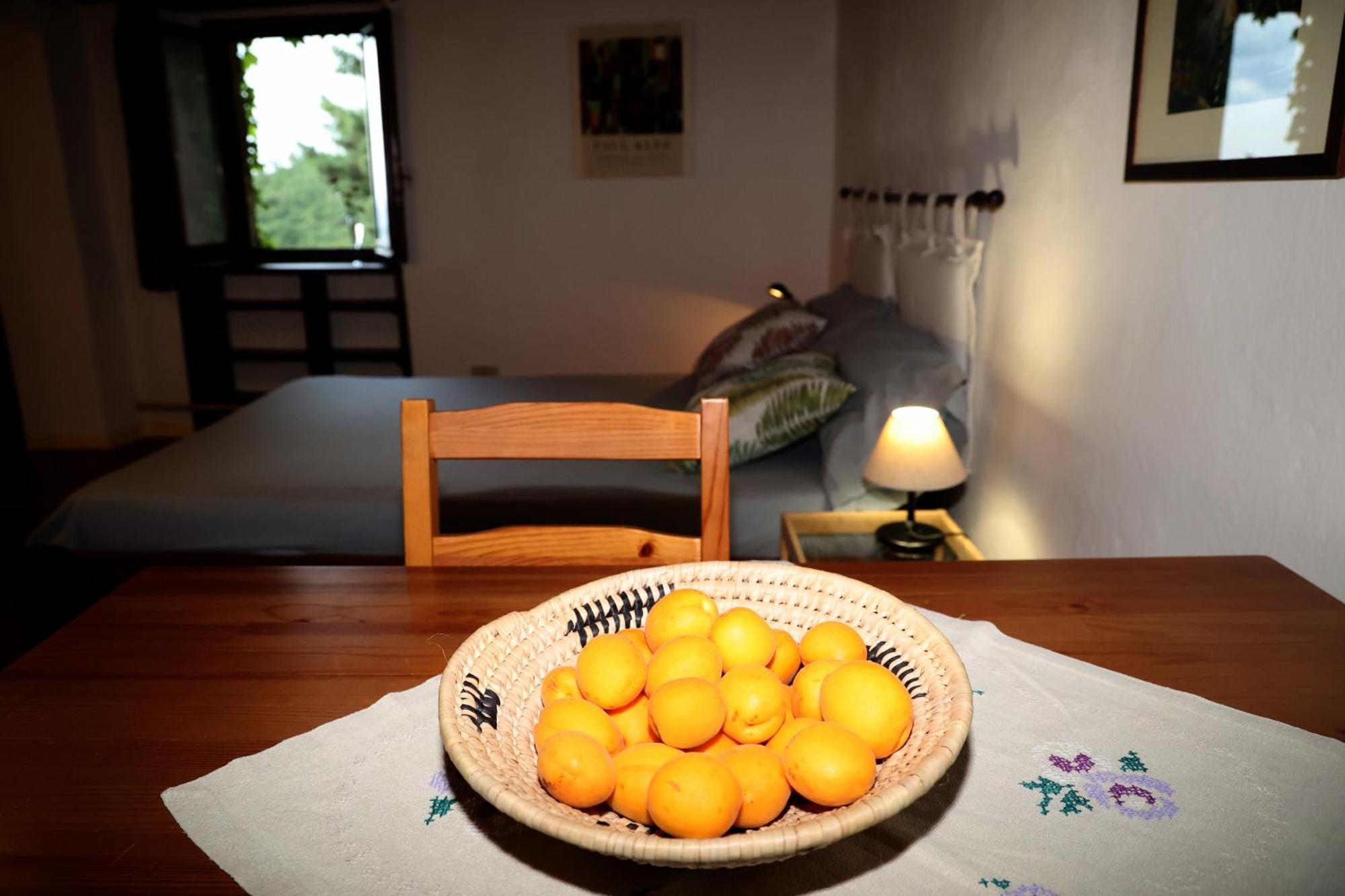 Casa Marju Konuk evi Montemassi Dış mekan fotoğraf