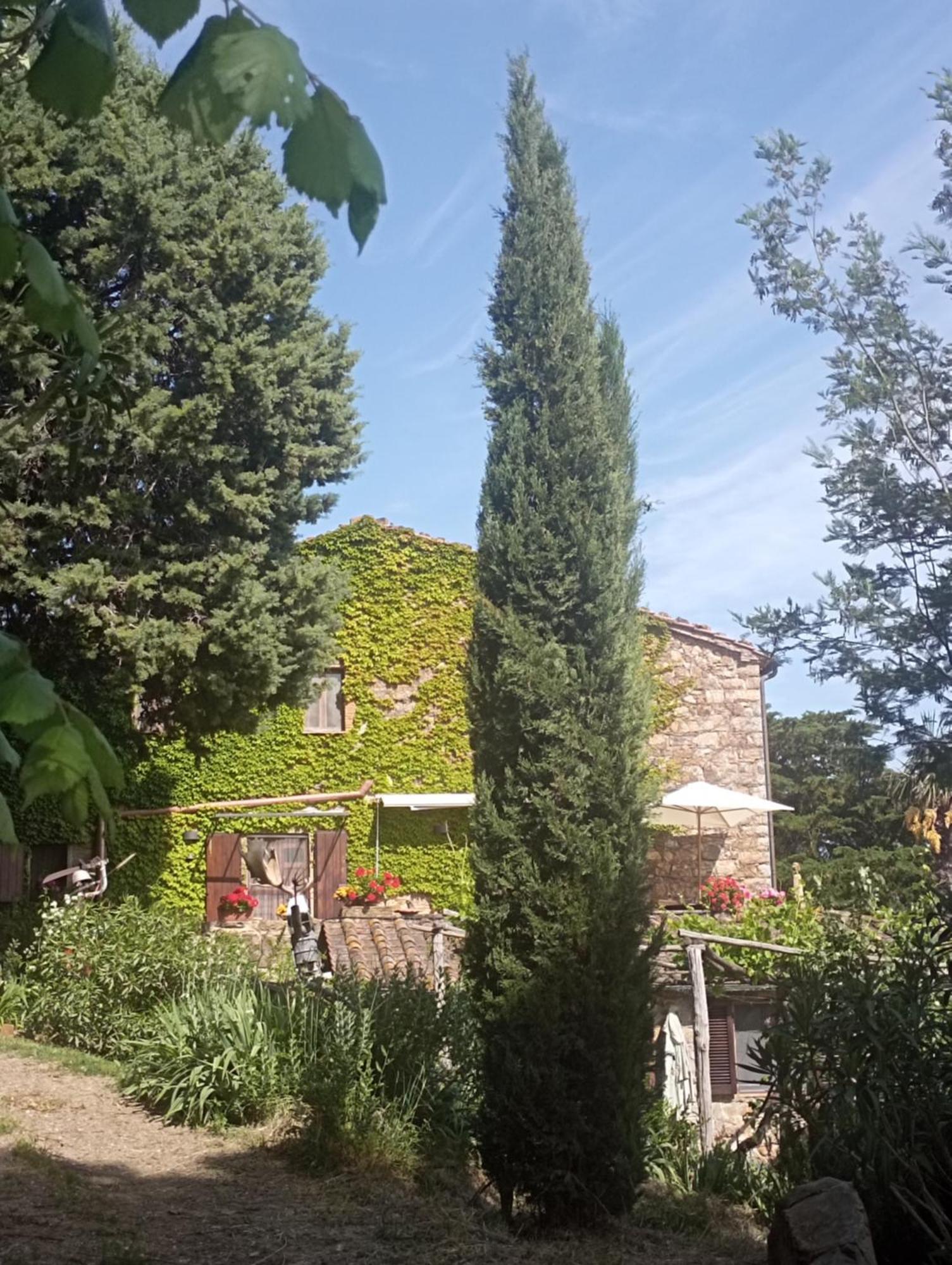 Casa Marju Konuk evi Montemassi Dış mekan fotoğraf
