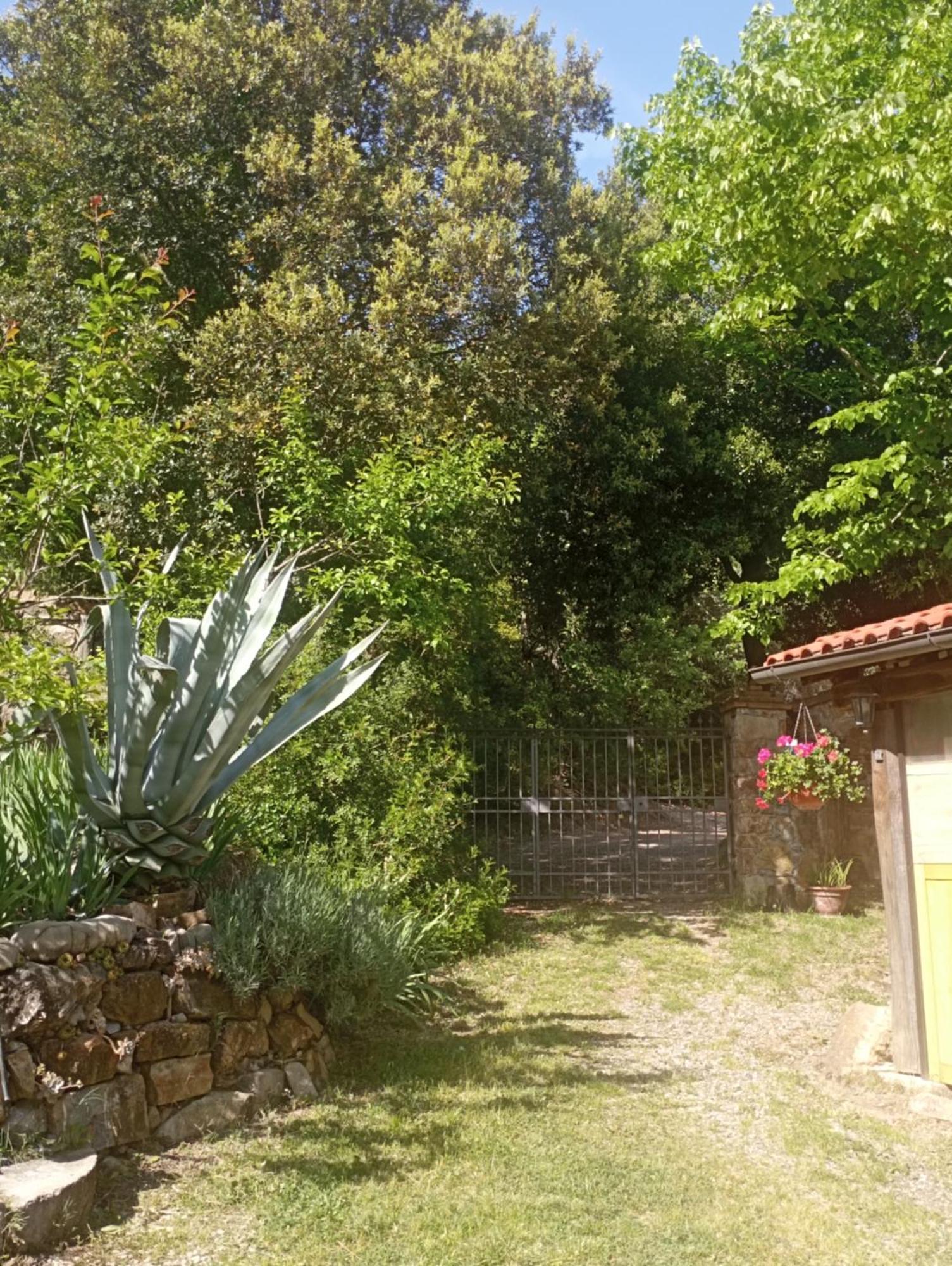 Casa Marju Konuk evi Montemassi Dış mekan fotoğraf